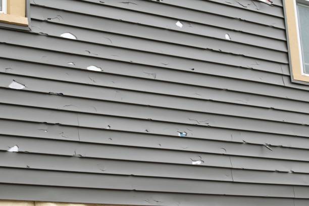 Best Custom Siding Design  in Weaverville, NC